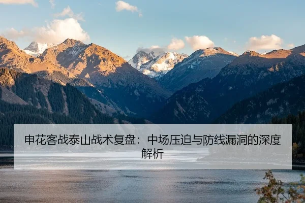 申花客战泰山战术复盘：中场压迫与防线漏洞的深度解析
